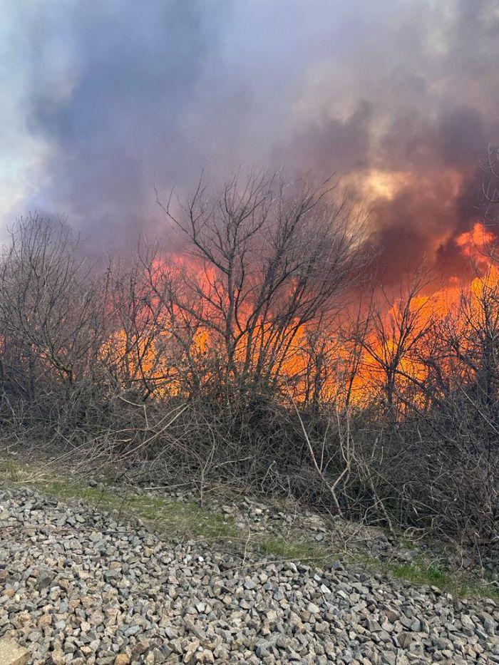 VIDEO Incendiu violent la Lacul Brateș: au ars 15 hectare de vegetație